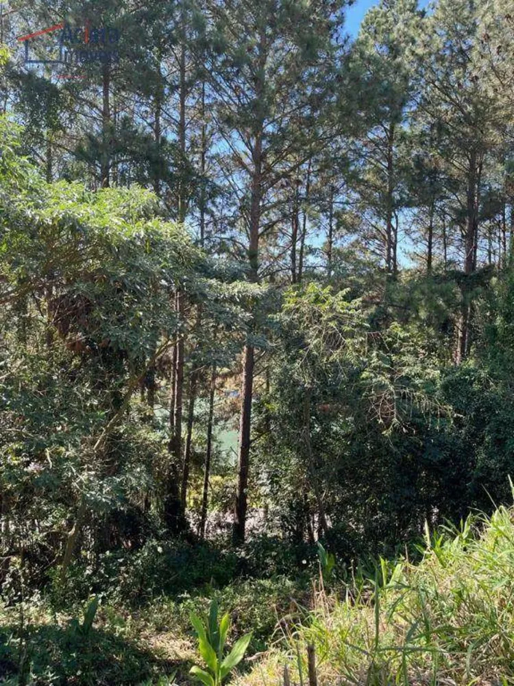 Loteamento e Condomínio, 505 m² - Foto 6