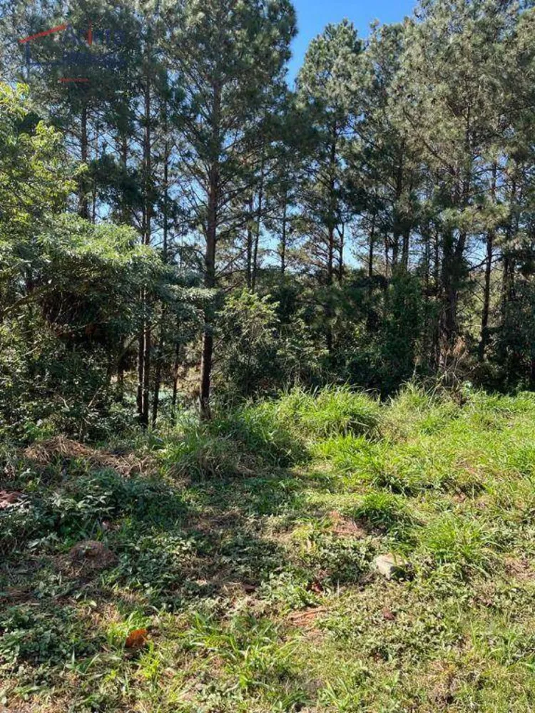 Loteamento e Condomínio, 505 m² - Foto 4
