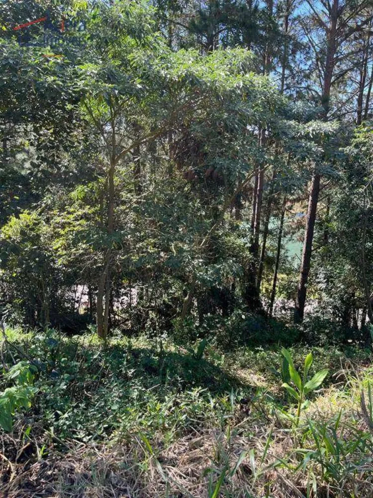 Loteamento e Condomínio, 505 m² - Foto 8