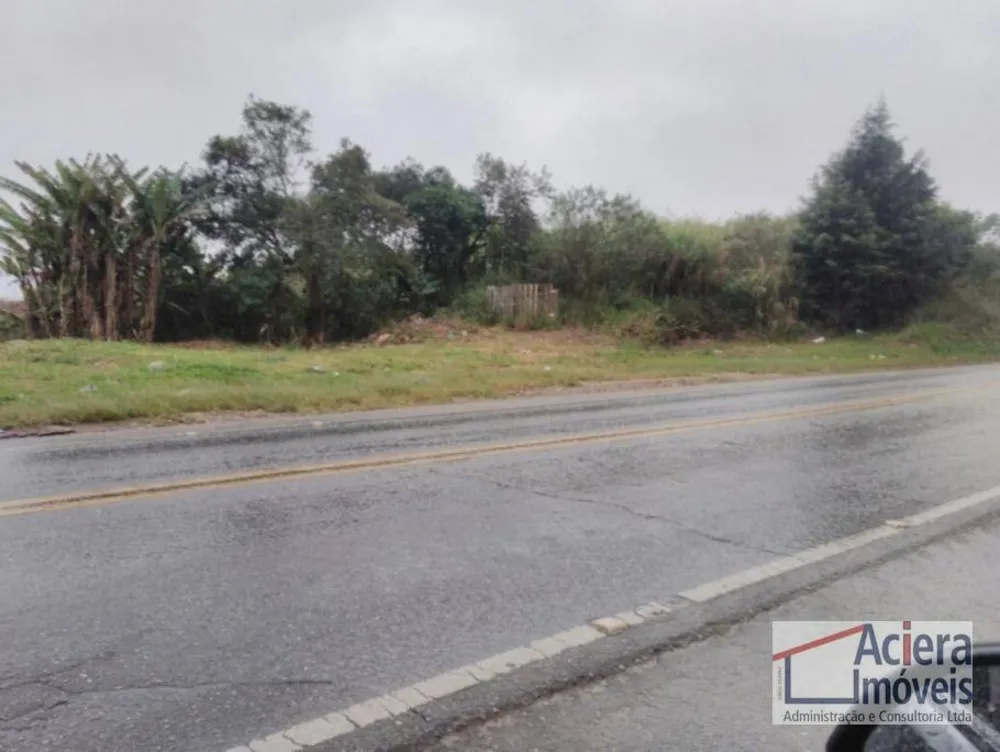 Terreno, 6 hectares - Foto 4