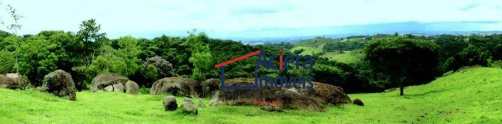 Terreno, 8 hectares - Foto 6