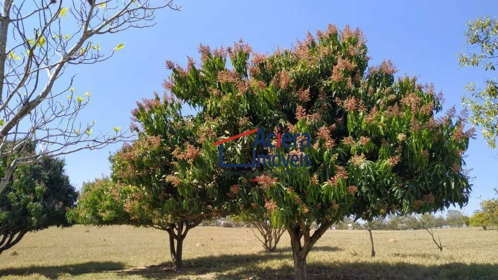 Terreno, 8 hectares - Foto 10