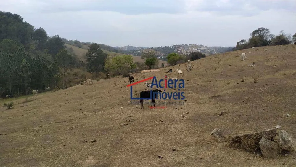 Terreno, 8 hectares - Foto 8