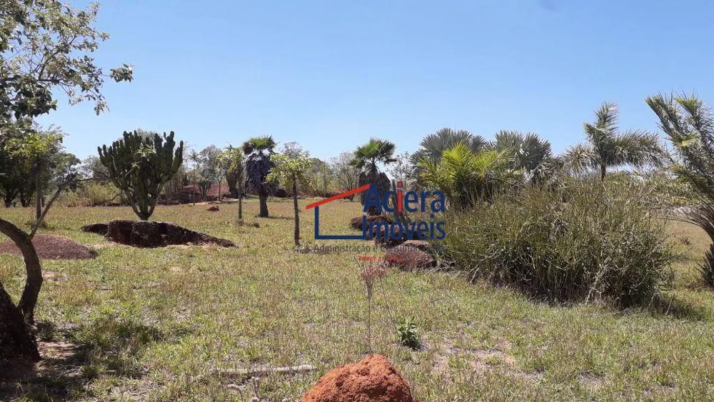 Terreno, 8 hectares - Foto 4