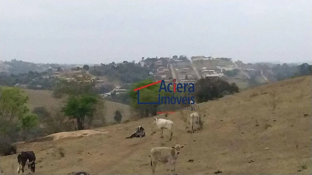 Terreno, 8 hectares - Foto 7