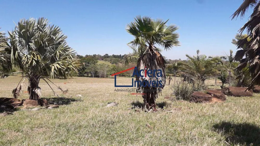 Terreno, 8 hectares - Foto 3