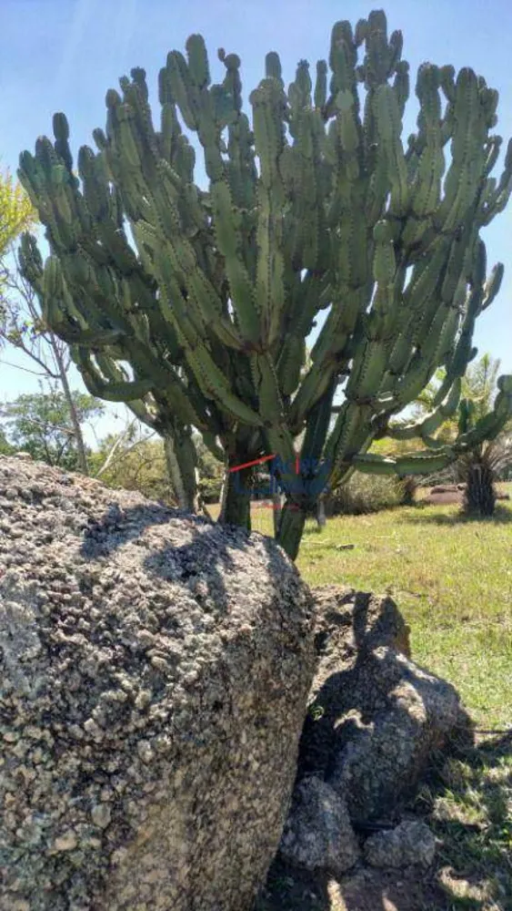 Terreno, 8 hectares - Foto 11