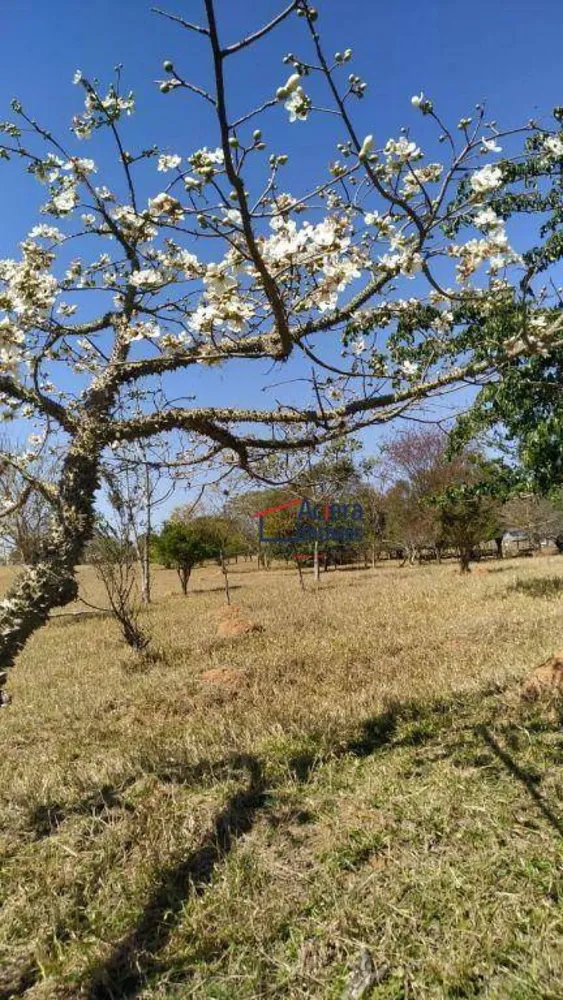 Terreno, 8 hectares - Foto 12