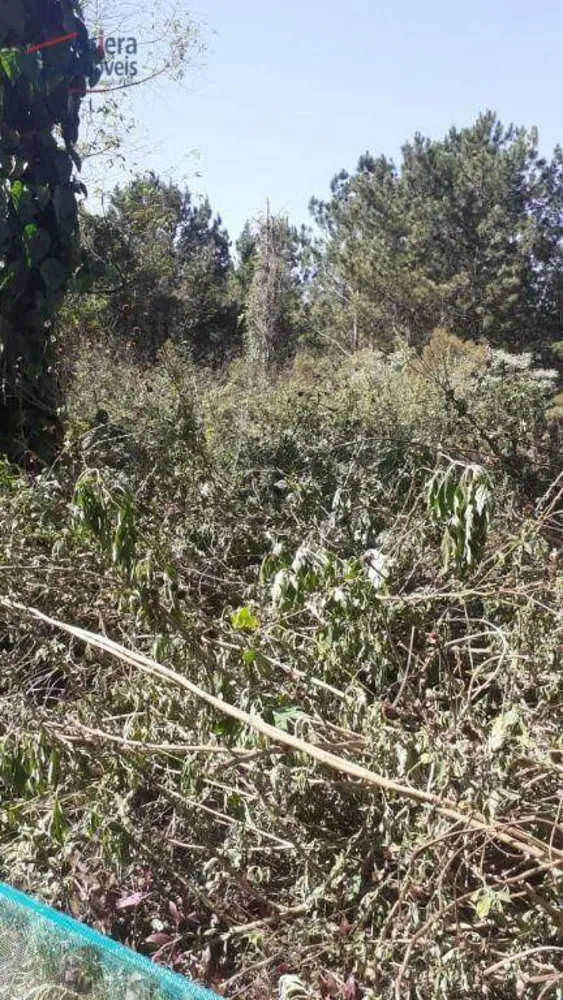 Terreno, 1410 m² - Foto 6