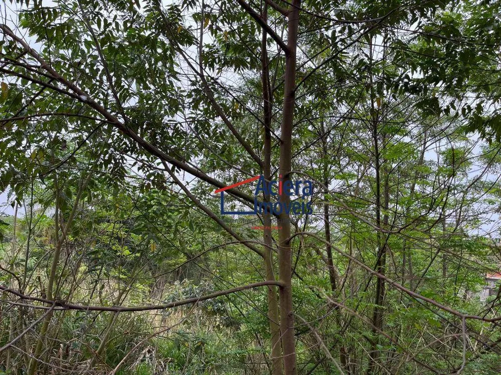 Loteamento e Condomínio, 1766 m² - Foto 4