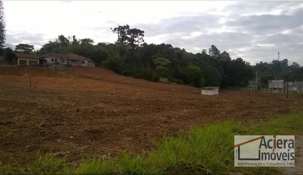 Terreno, 2 hectares - Foto 4