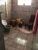 Casa, 2 quartos, 150 m² - Foto 16