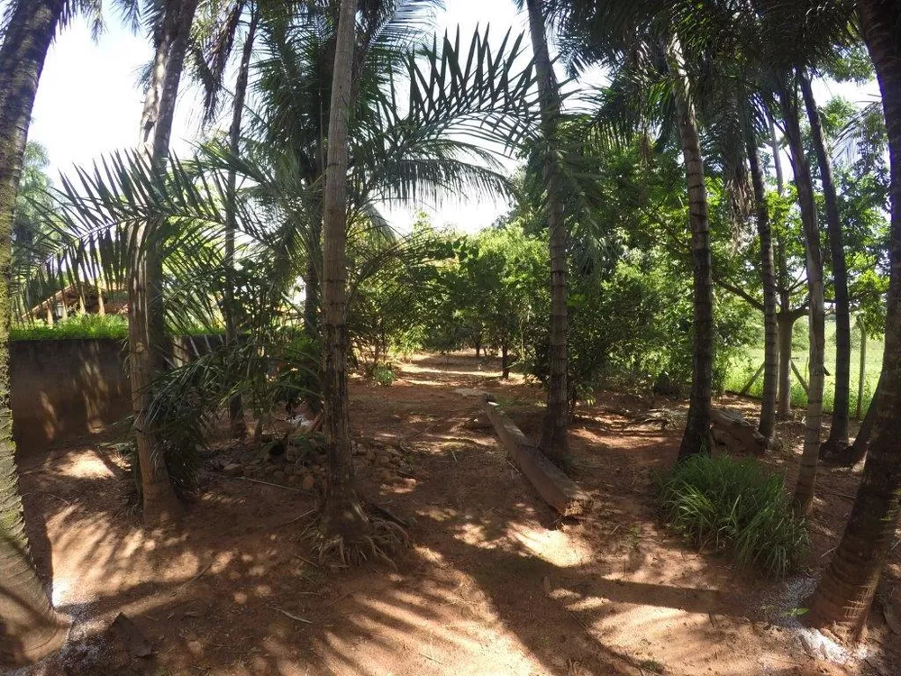 Chácara, 4 quartos, 5 hectares - Foto 38