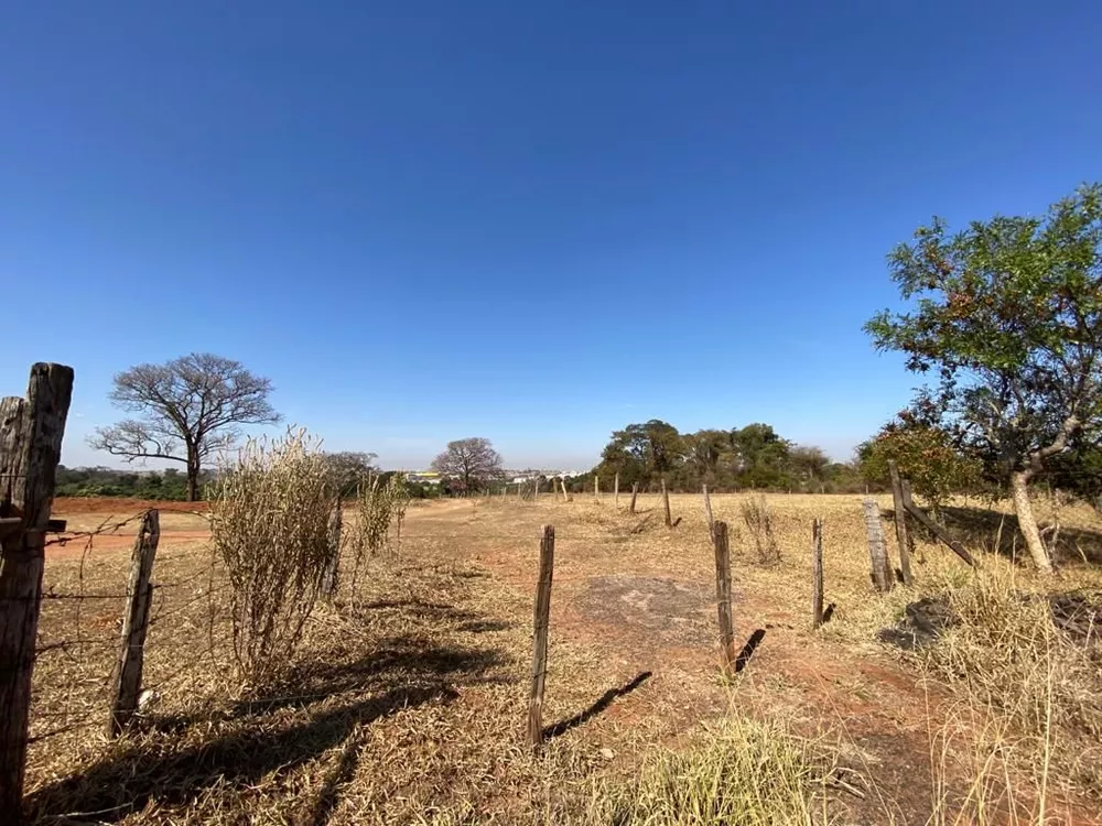 Terreno, 5 hectares - Foto 6