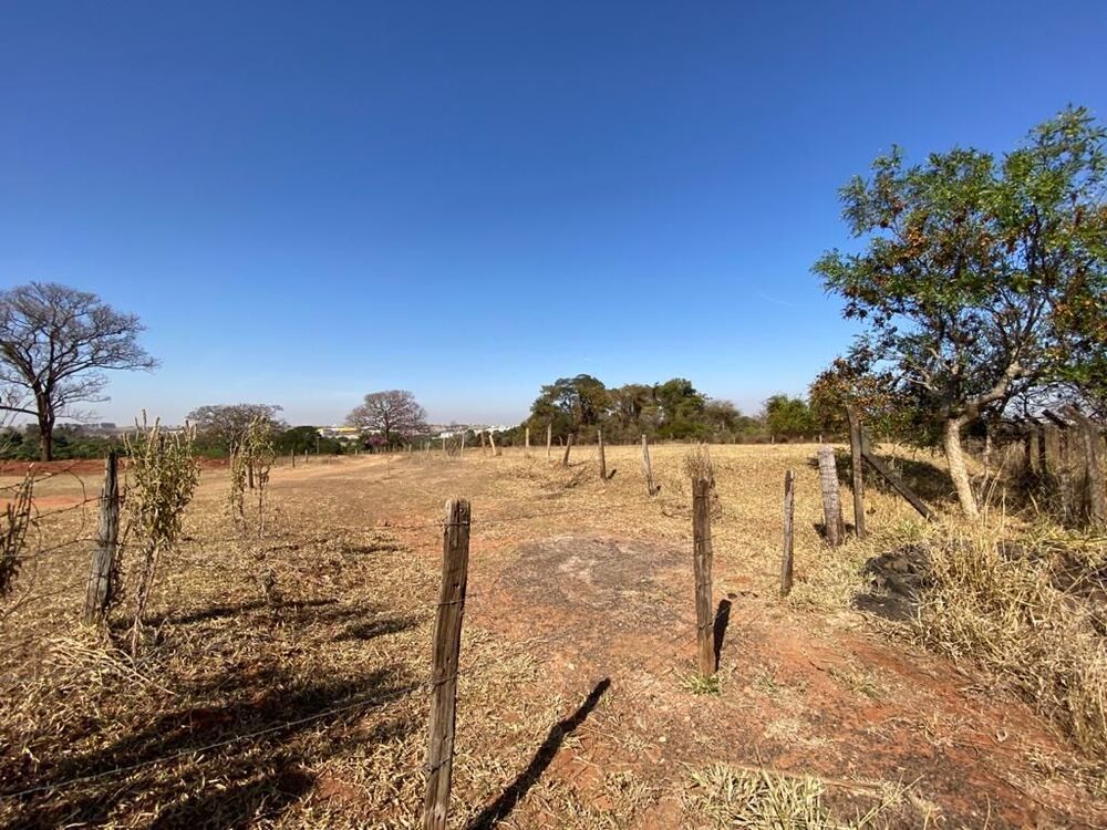 Terreno, 5 hectares - Foto 3