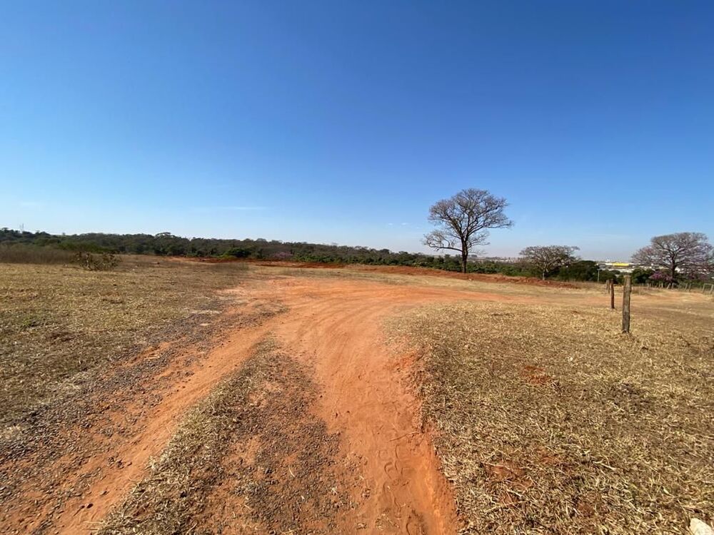 Terreno, 5 hectares - Foto 4