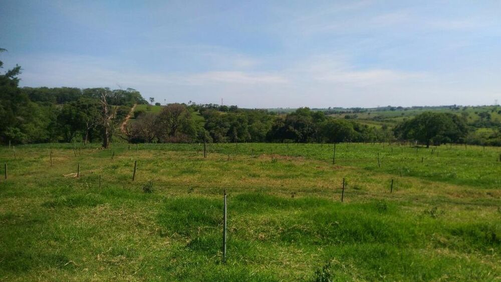 Sítio à venda com 4 quartos, 121000m² - Foto 8