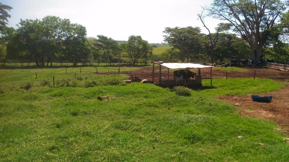 Sítio à venda com 4 quartos, 121000m² - Foto 10
