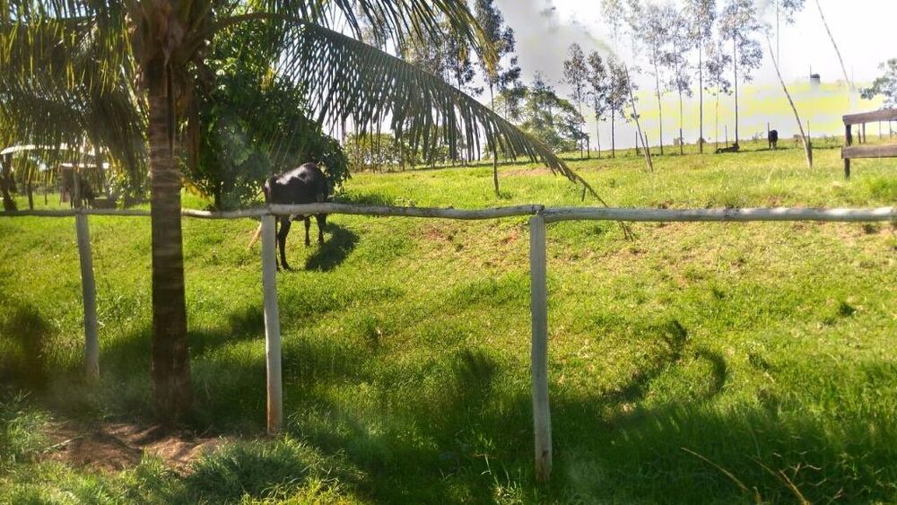 Sítio à venda com 4 quartos, 121000m² - Foto 4