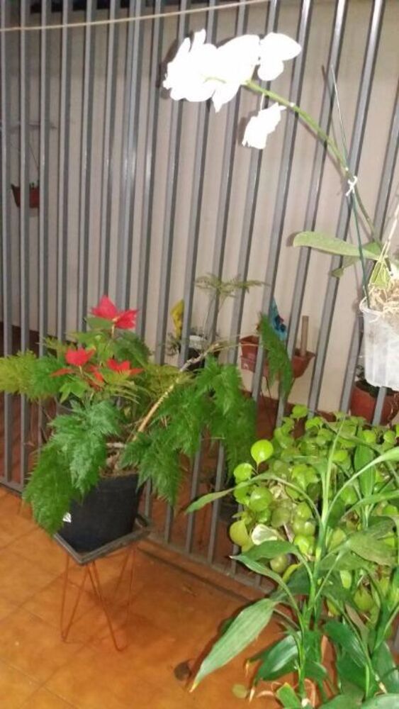 Casa à venda com 3 quartos, 350m² - Foto 7