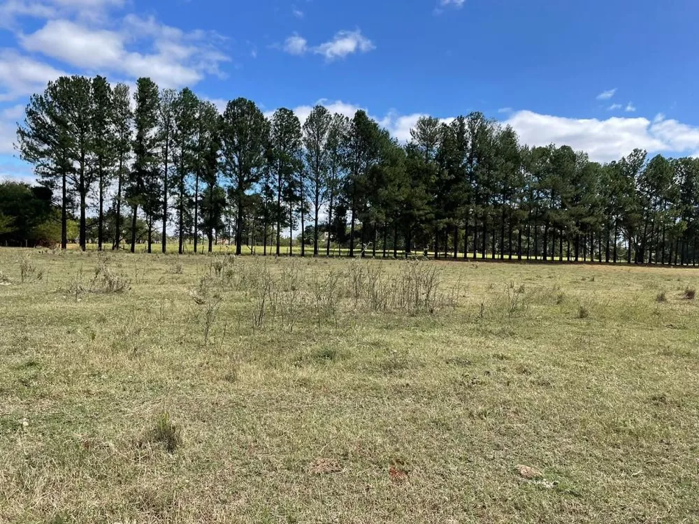 Fazenda à venda e aluguel, 21000m² - Foto 1