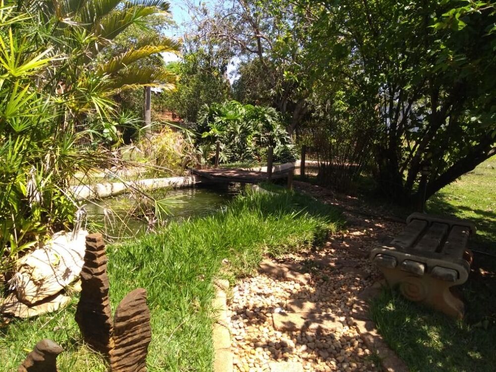 Chácara à venda e aluguel com 2 quartos, 5000m² - Foto 9