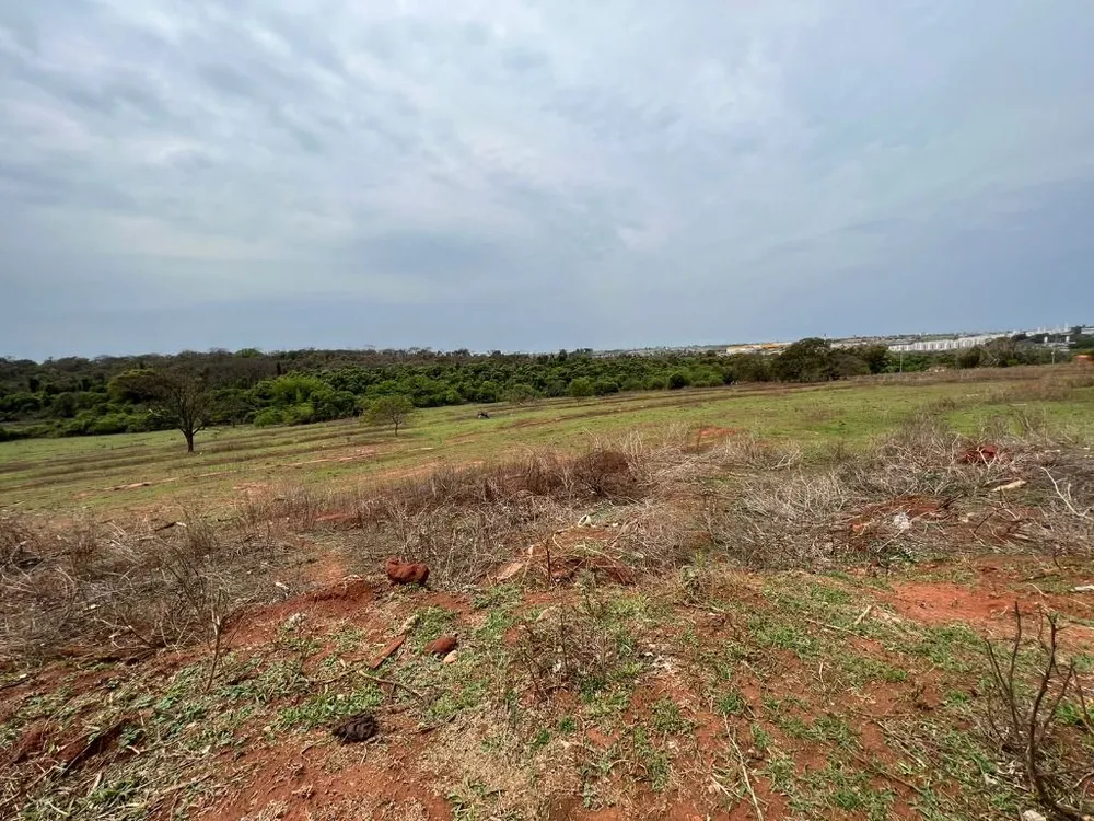 Terreno, 15 hectares - Foto 3
