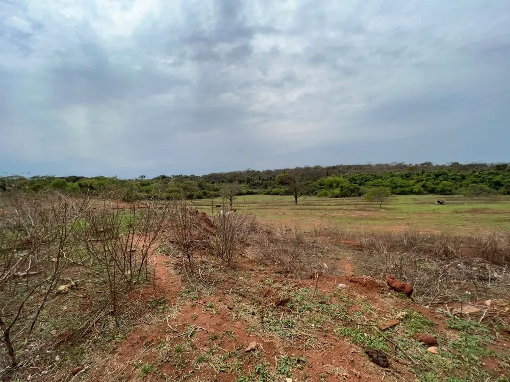 Terreno, 15 hectares - Foto 4