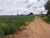 Sítio, 61 hectares - Foto 4