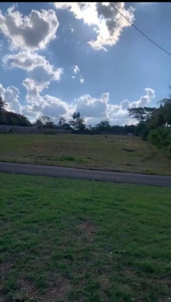 Loteamento e Condomínio, 5000 m² - Foto 4