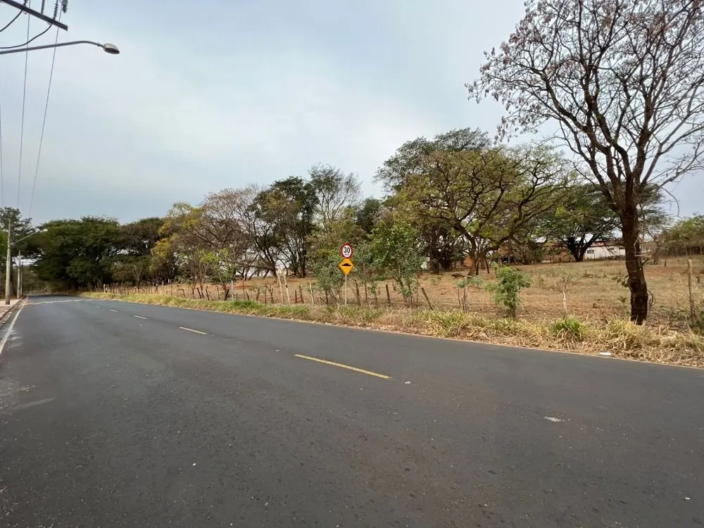 Terreno, 4 hectares - Foto 3
