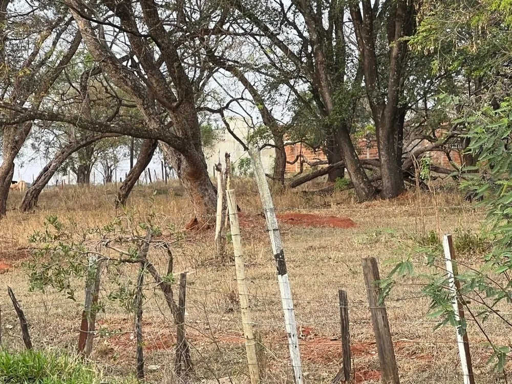 Terreno, 4 hectares - Foto 1