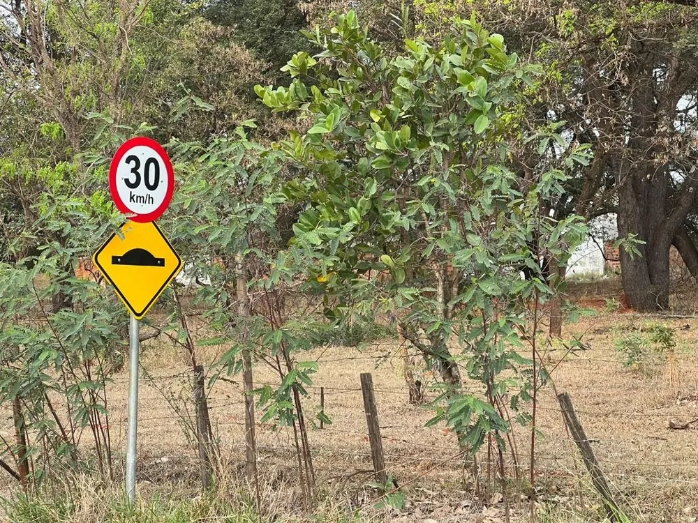 Terreno, 4 hectares - Foto 4