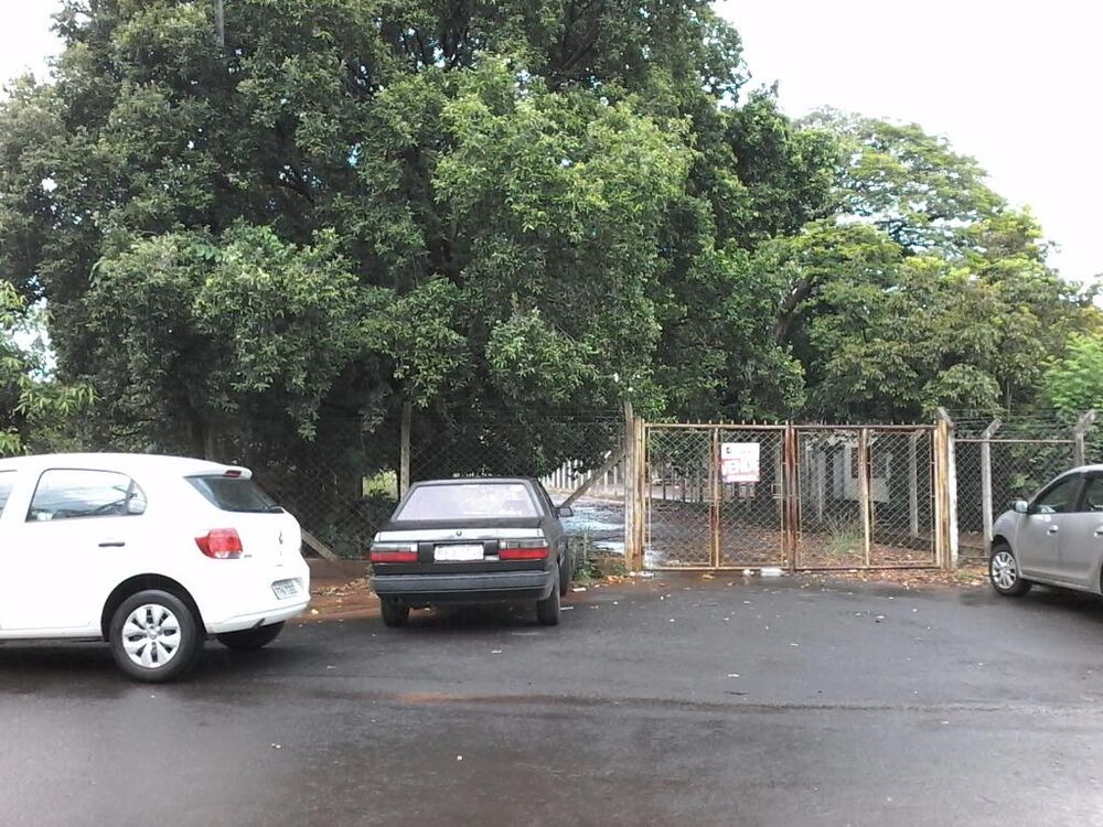 Terreno, 2 hectares - Foto 7