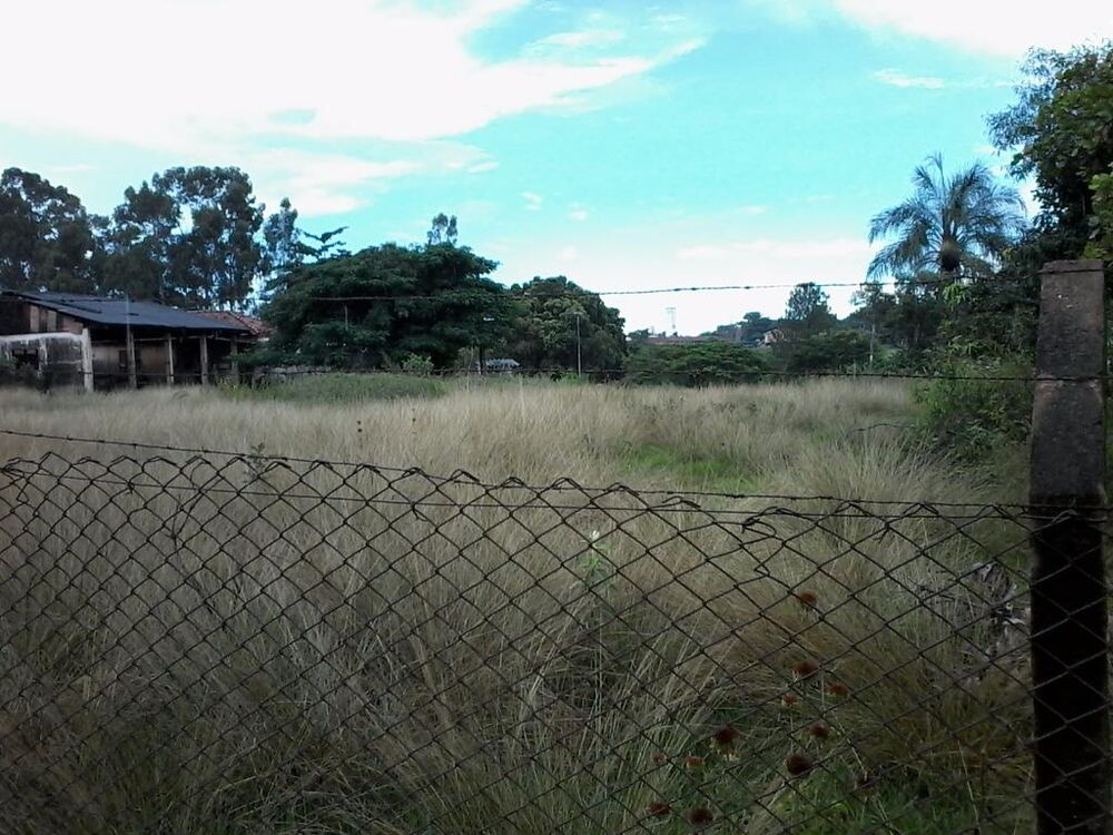 Terreno, 2 hectares - Foto 6