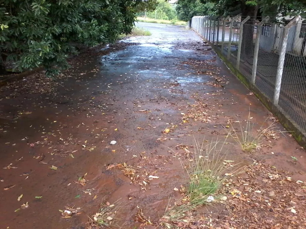 Terreno, 2 hectares - Foto 2