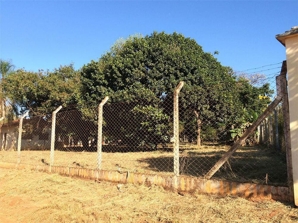 Terreno, 10000 m² - Foto 11