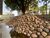 Sala-Conjunto, 44 m² - Foto 68