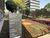 Sala-Conjunto, 44 m² - Foto 47