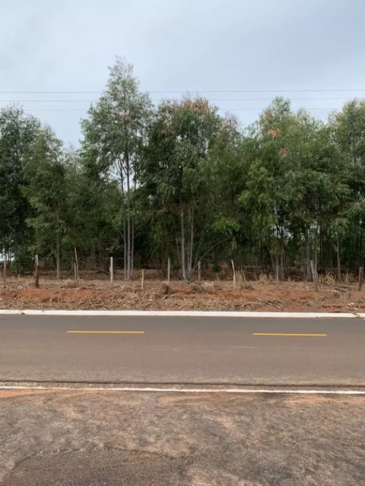 Terreno, 2 hectares - Foto 4