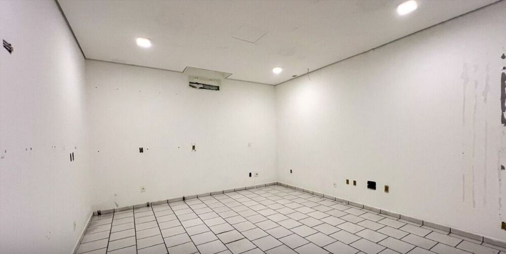 Casa, 4 quartos, 350 m² - Foto 4