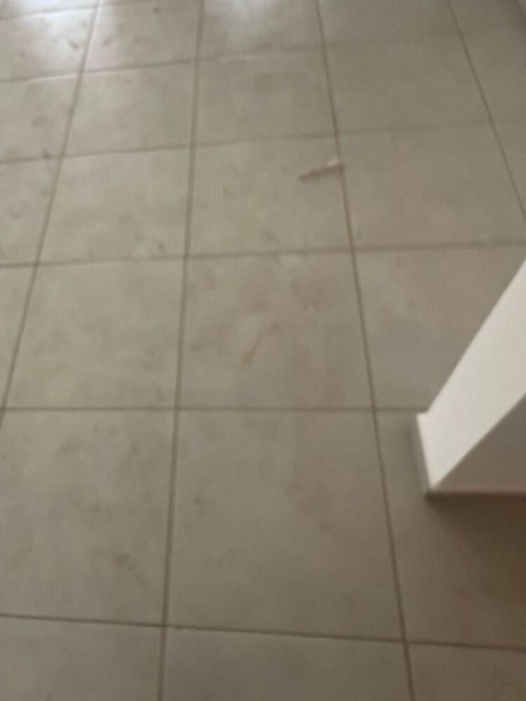 Apartamento, 2 quartos, 59 m² - Foto 21