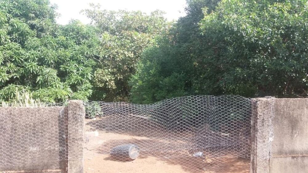 Casa, 2 quartos, 300 m² - Foto 4