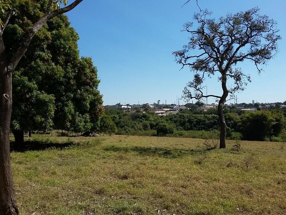 Terreno, 4 hectares - Foto 1
