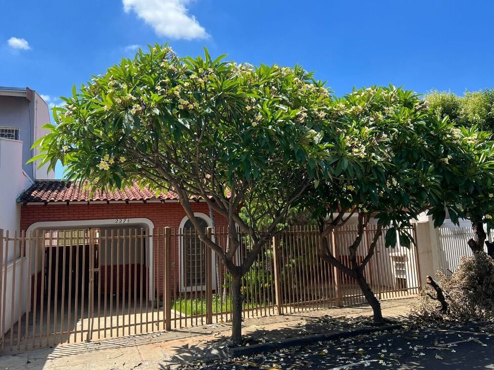 Casa, 3 quartos, 160 m² - Foto 5