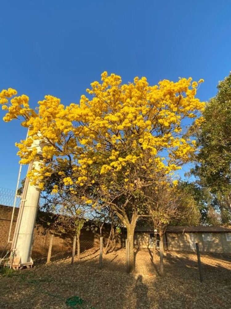 Chácara, 3 quartos, 5000 m² - Foto 16