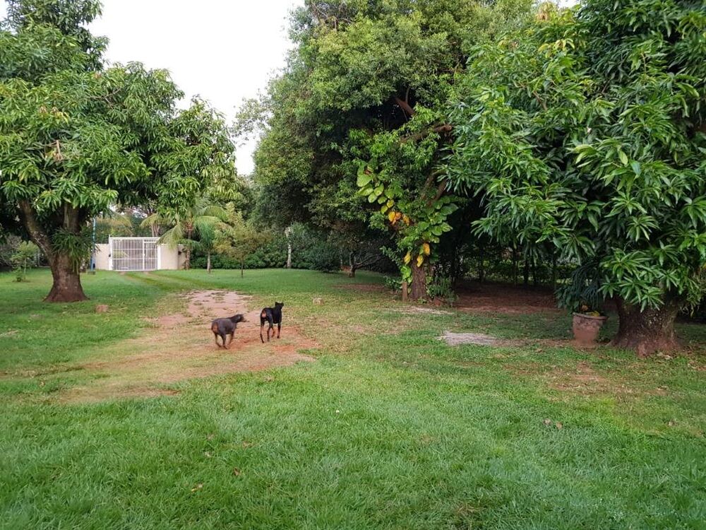 Chácara, 2 quartos, 3000 m² - Foto 4