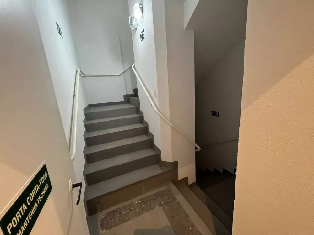 Sala-Conjunto, 260 m² - Foto 3