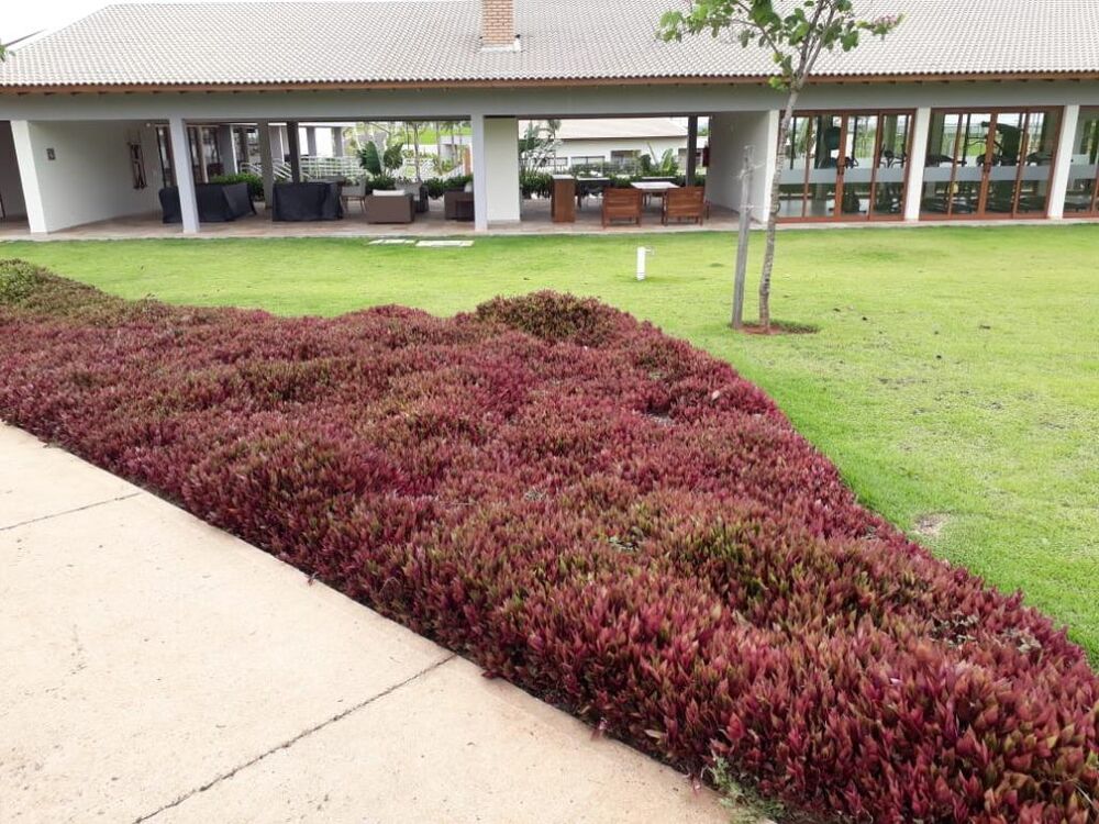 Loteamento e Condomínio, 309 m² - Foto 2