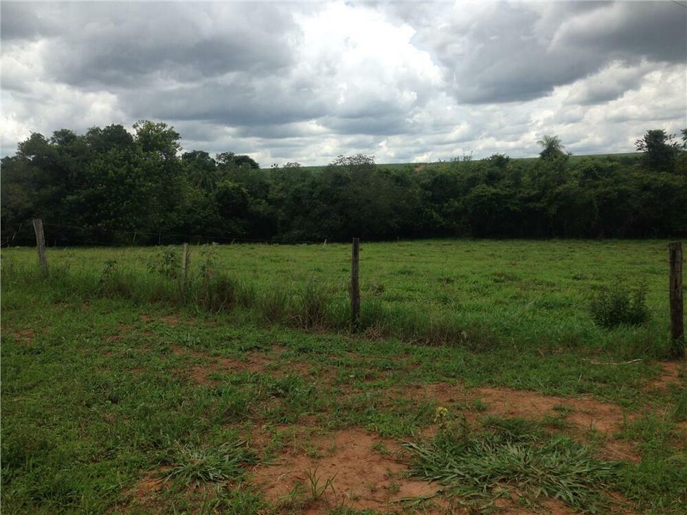 Fazenda à venda com 4 quartos, 847000m² - Foto 8